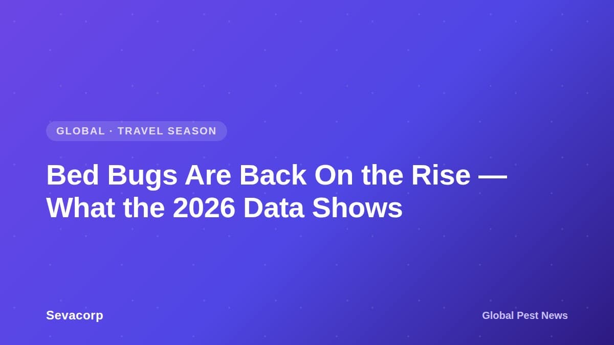 Graphic reading 'Bed Bugs Are Back On the Rise', tagged Global, Travel Season