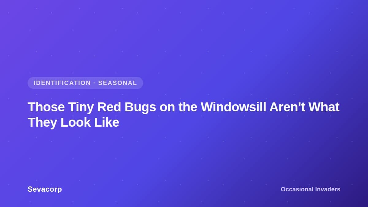 Graphic reading 'Those Tiny Red Bugs on the Windowsill Aren't What They Look Like', tagged Identification and Seasonal