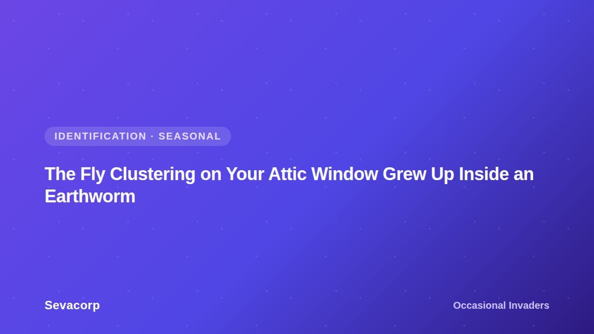 Graphic reading "The Fly Clustering on Your Attic Window Grew Up Inside an Earthworm", tagged Identification and Seasonal