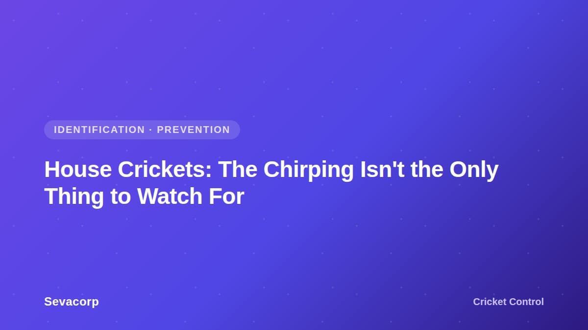 Graphic reading 'House Crickets: The Chirping Isn't the Only Thing to Watch For', tagged Identification and Prevention