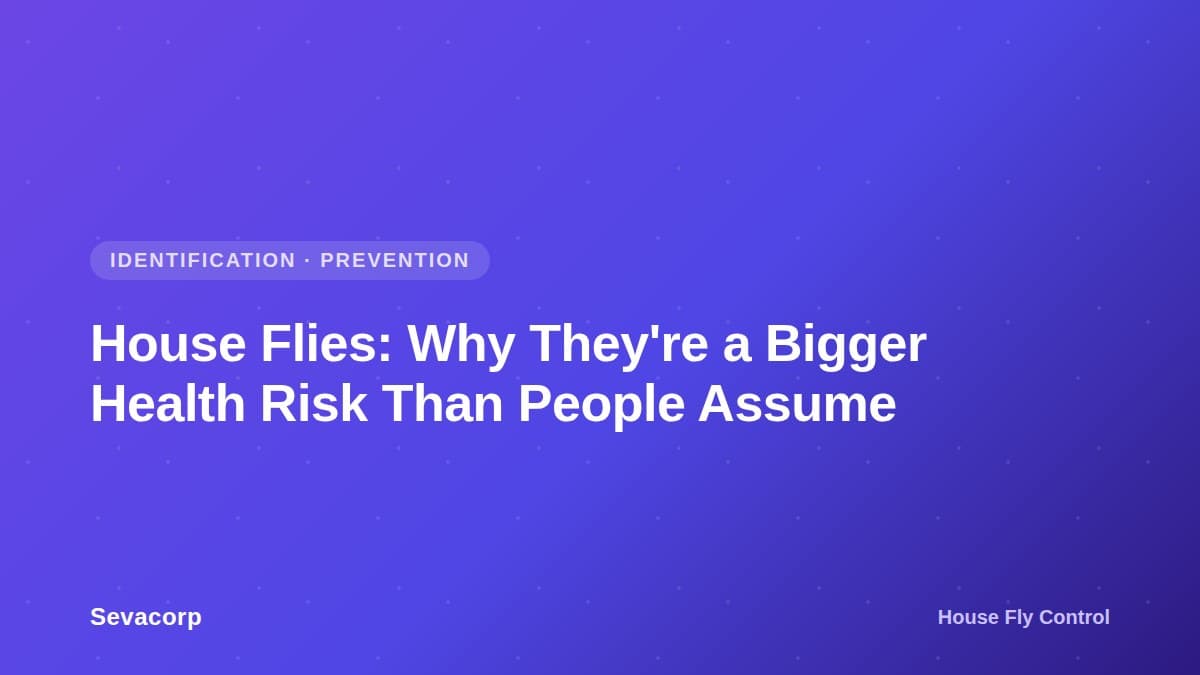 Graphic reading 'House Flies: Why They're a Bigger Health Risk Than People Assume', tagged House Fly Control, Identification and Prevention