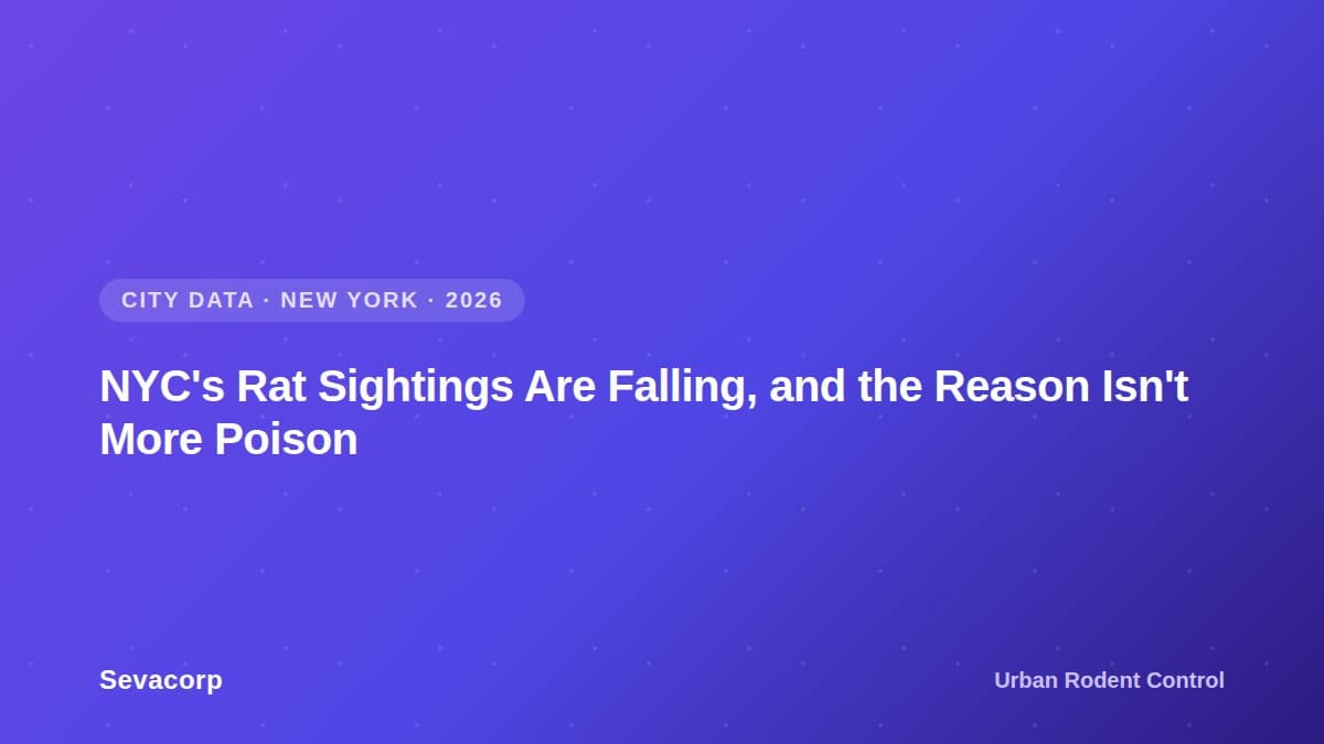 Graphic reading "NYC's Rat Sightings Are Falling, and the Reason Isn't More Poison", tagged City Data, New York, 2026