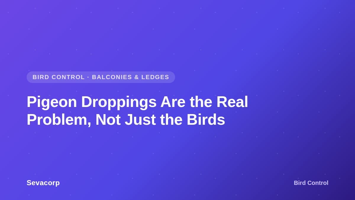 Graphic reading 'Pigeon Droppings Are the Real Problem, Not Just the Birds', tagged Bird Control, Balconies and Ledges