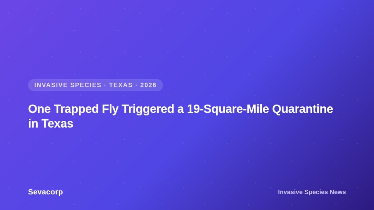 Graphic reading "One Trapped Fly Triggered a 19-Square-Mile Quarantine in Texas", tagged Invasive Species, Texas, 2026